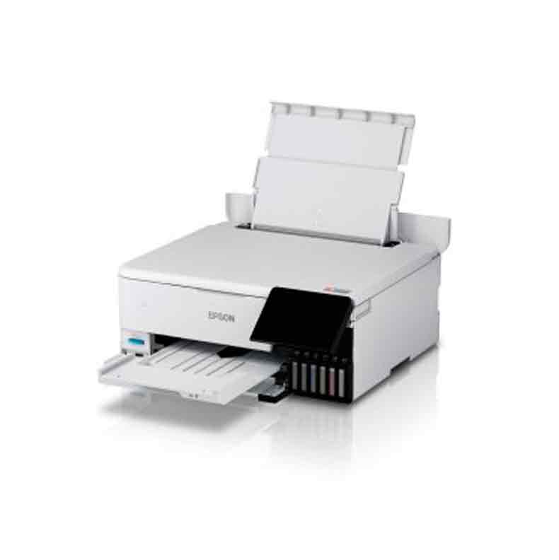 Epson Printer L8160 CIS